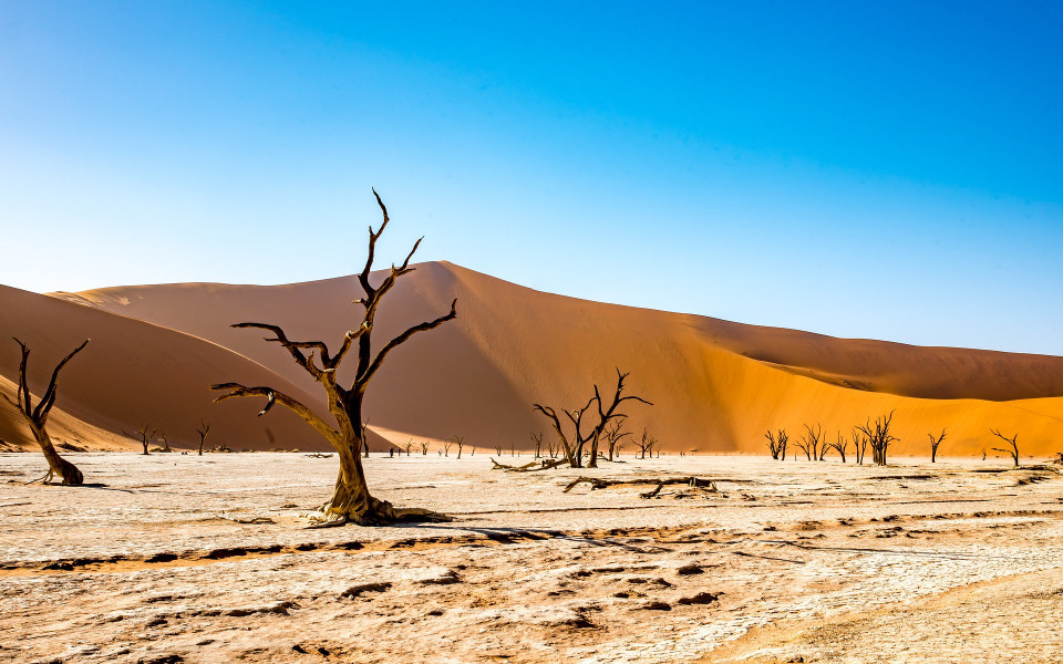 Wüste in Namibia