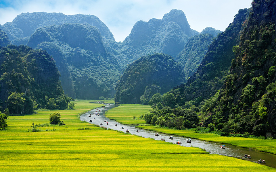 Reisfeld und Fluss, Ninh Binh
