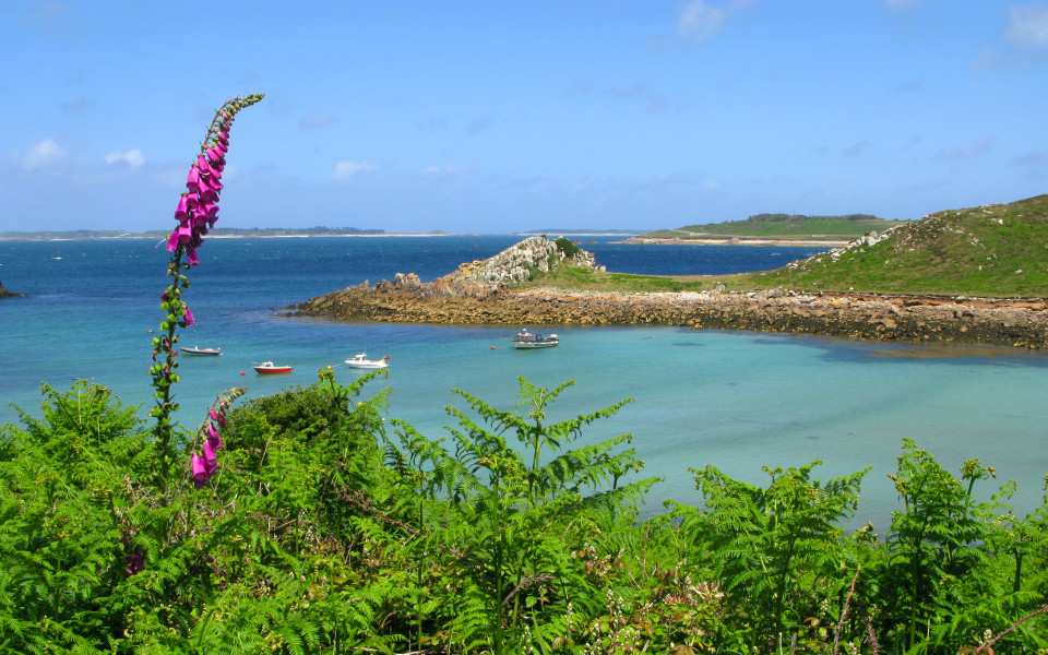 Bucht von St. Agnes mit glasklarem Meer und gr&uuml;ner Landschaft, Scilly-Inseln. 